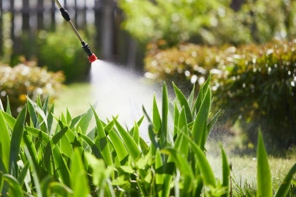 24/7 Emergency Mosquito Control experts in Rising Sun, MD